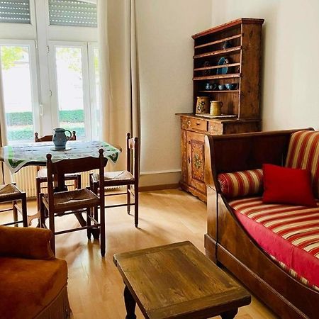 Appartement Cosy 科尔马 外观 照片