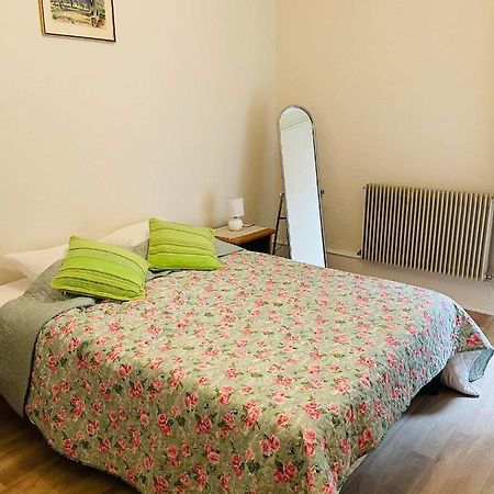 Appartement Cosy 科尔马 外观 照片