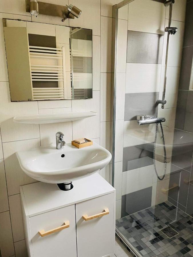Appartement Cosy 科尔马 外观 照片