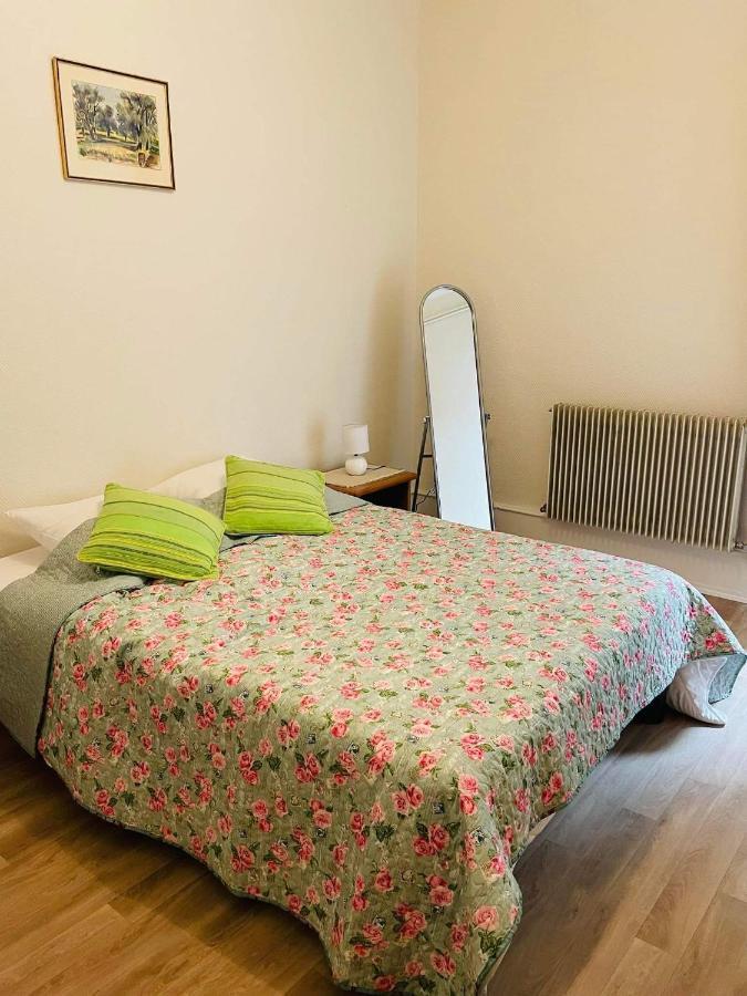 Appartement Cosy 科尔马 外观 照片